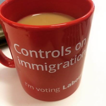 controls on immigration mug