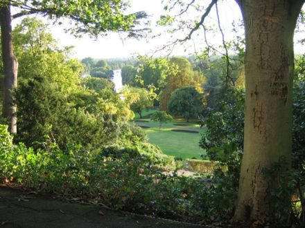 view_from_richmond_hill_surrey_01