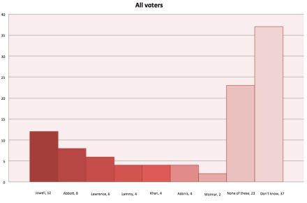 Standard poll mayor all voters