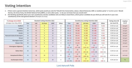 Lord Ashcroft marginals polling