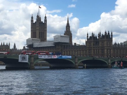 momentum flotilla