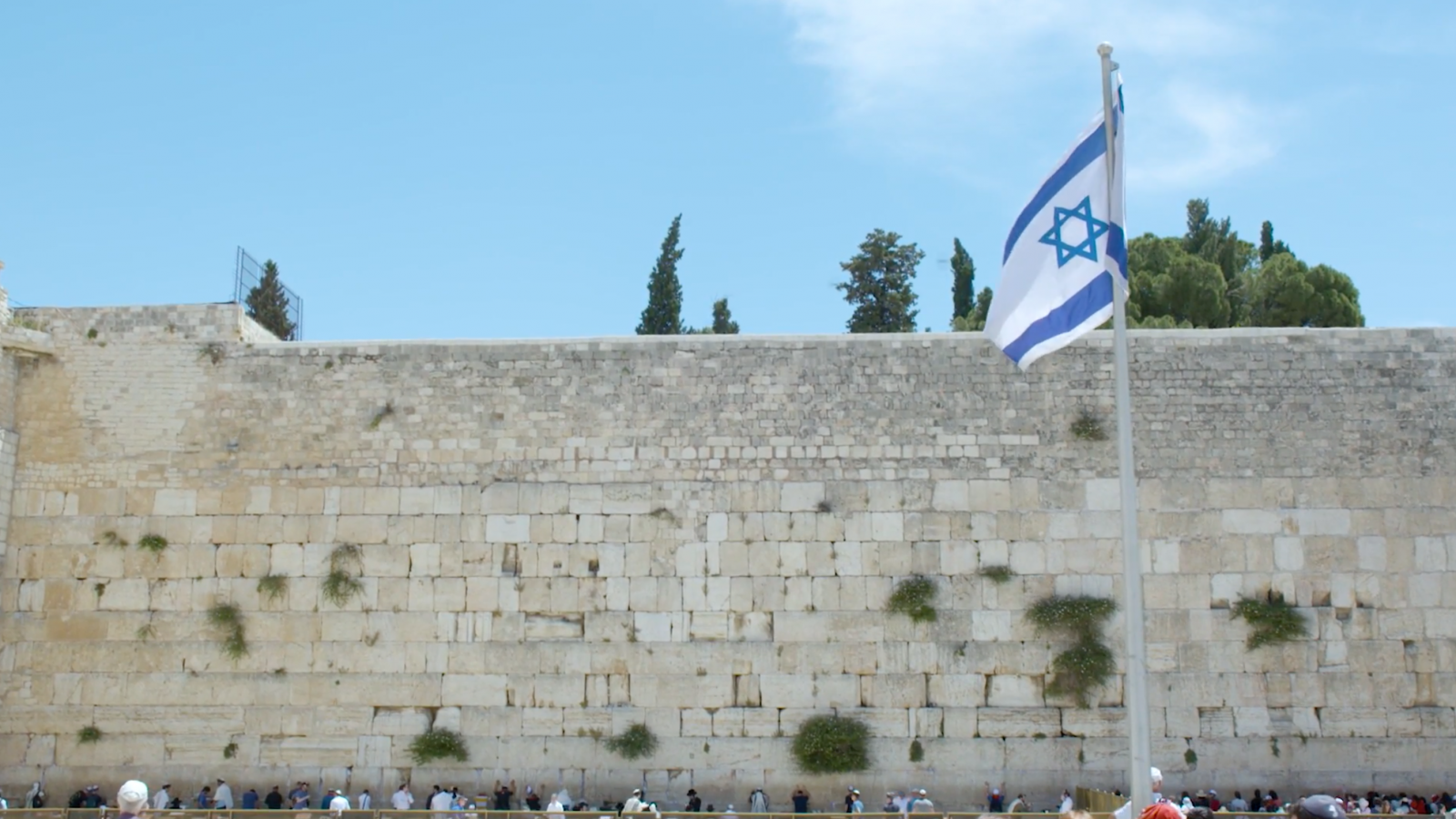 Labour Friends of Israel director to step down - LabourList