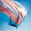 Transgender flag