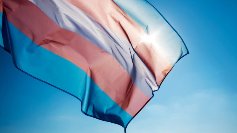 Transgender flag