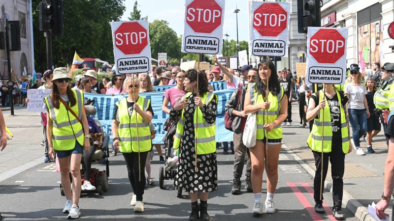 London, UK - 17th August 2024: National Animal Rights March