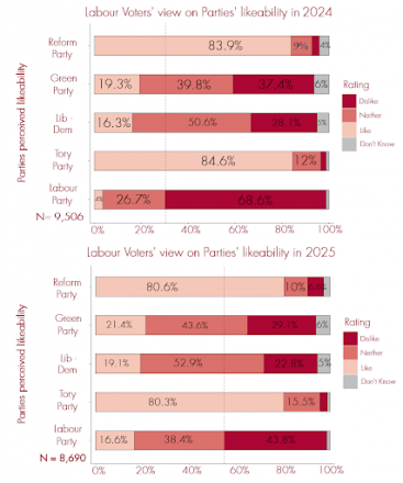 Labour 2024 voters views on Party likability