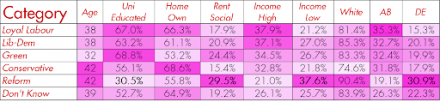 Labour 2024 voter demographics