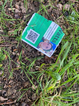 Discarded torn Green leaflet