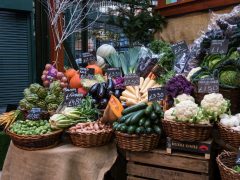 Selection of Fresh Vegetable Produce