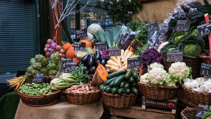 Selection of Fresh Vegetable Produce