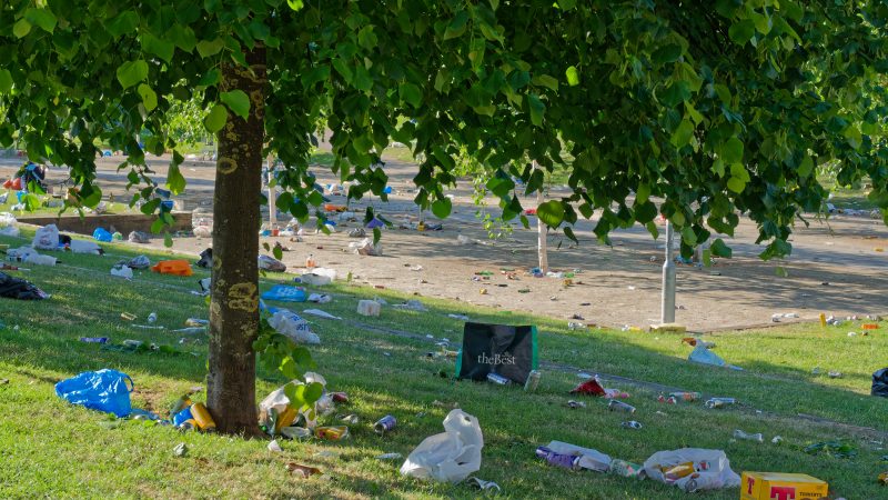 Litter in a park