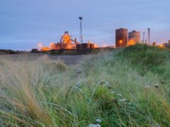 Steel factory and marshland