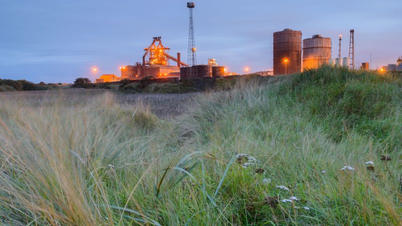 Steel factory and marshland